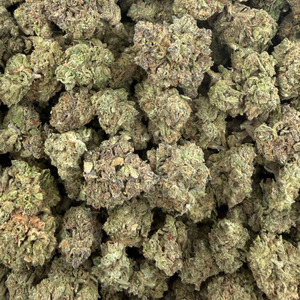 Wedding Punch bulk THCA flower — Plain Jane 1 lb
