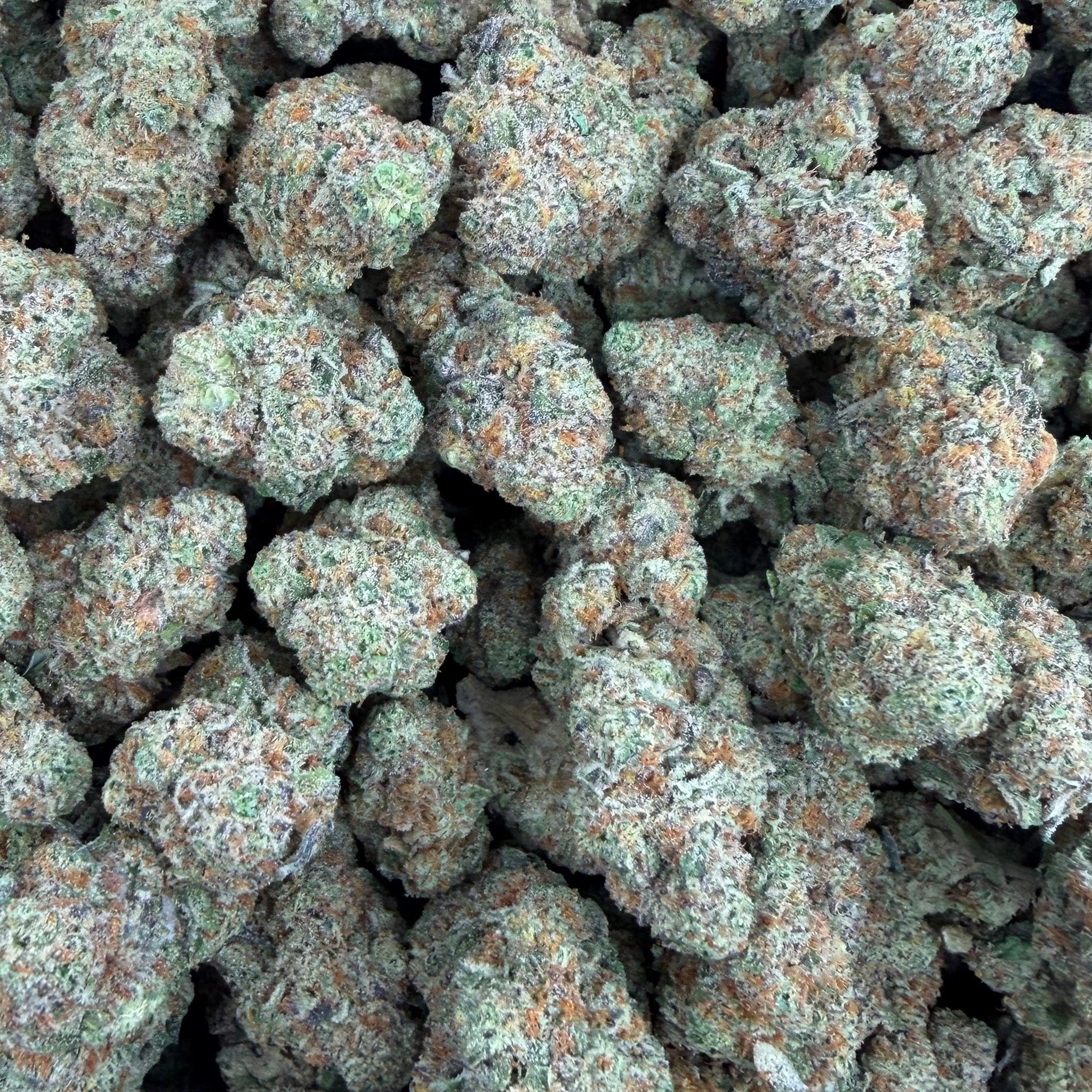 White Cherries bulk THCA flower — Plain Jane 1 lb