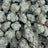 White Cherries bulk THCA flower — Plain Jane 1 lb