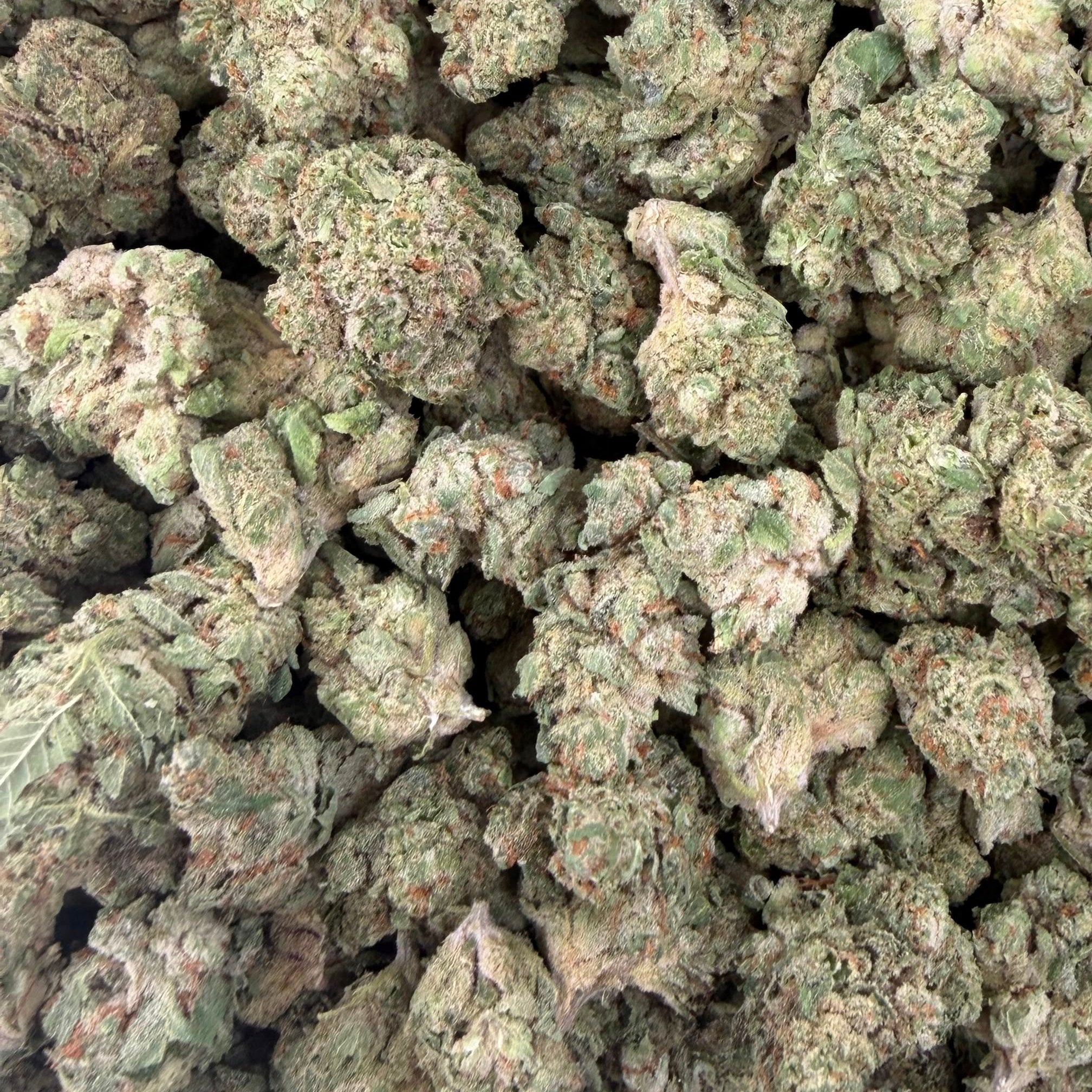 White Cherries bulk THCA flower — Plain Jane 1 lb