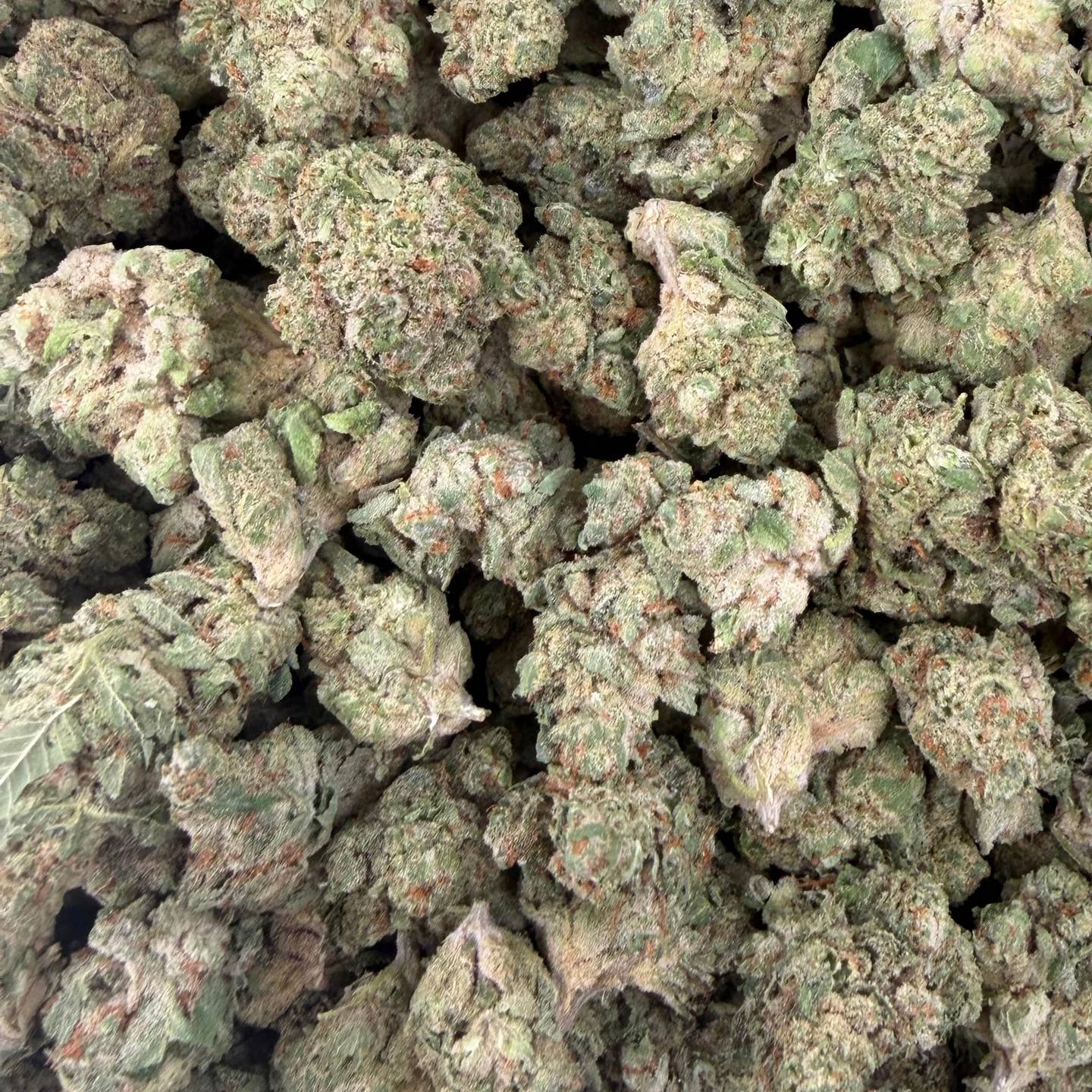 White Cherries bulk THCA flower — Plain Jane 1 lb