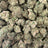 White Cherries bulk THCA flower — Plain Jane 1 lb