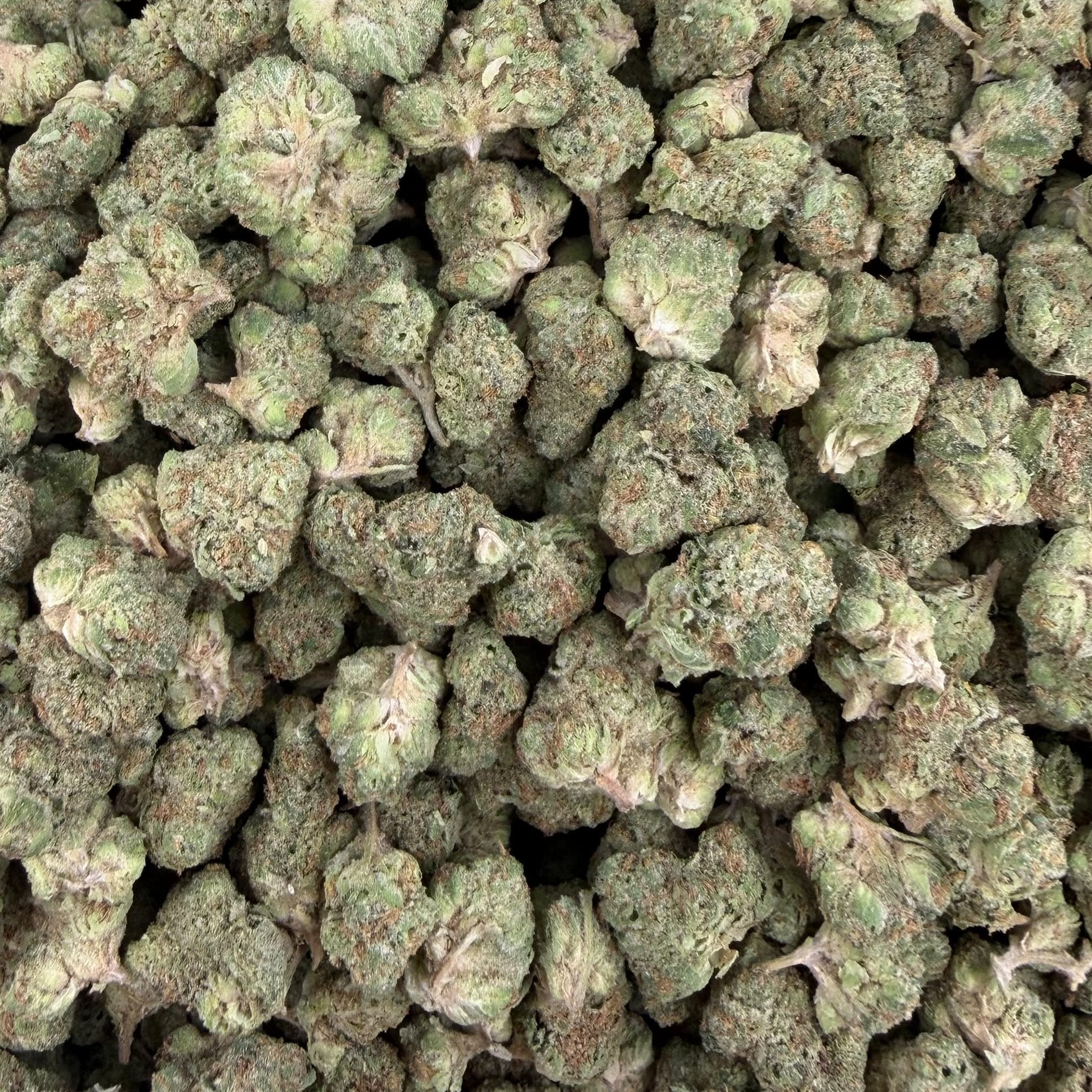 White Cherries bulk THCA flower — Plain Jane 1 lb