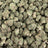 White Cherries bulk THCA flower — Plain Jane 1 lb
