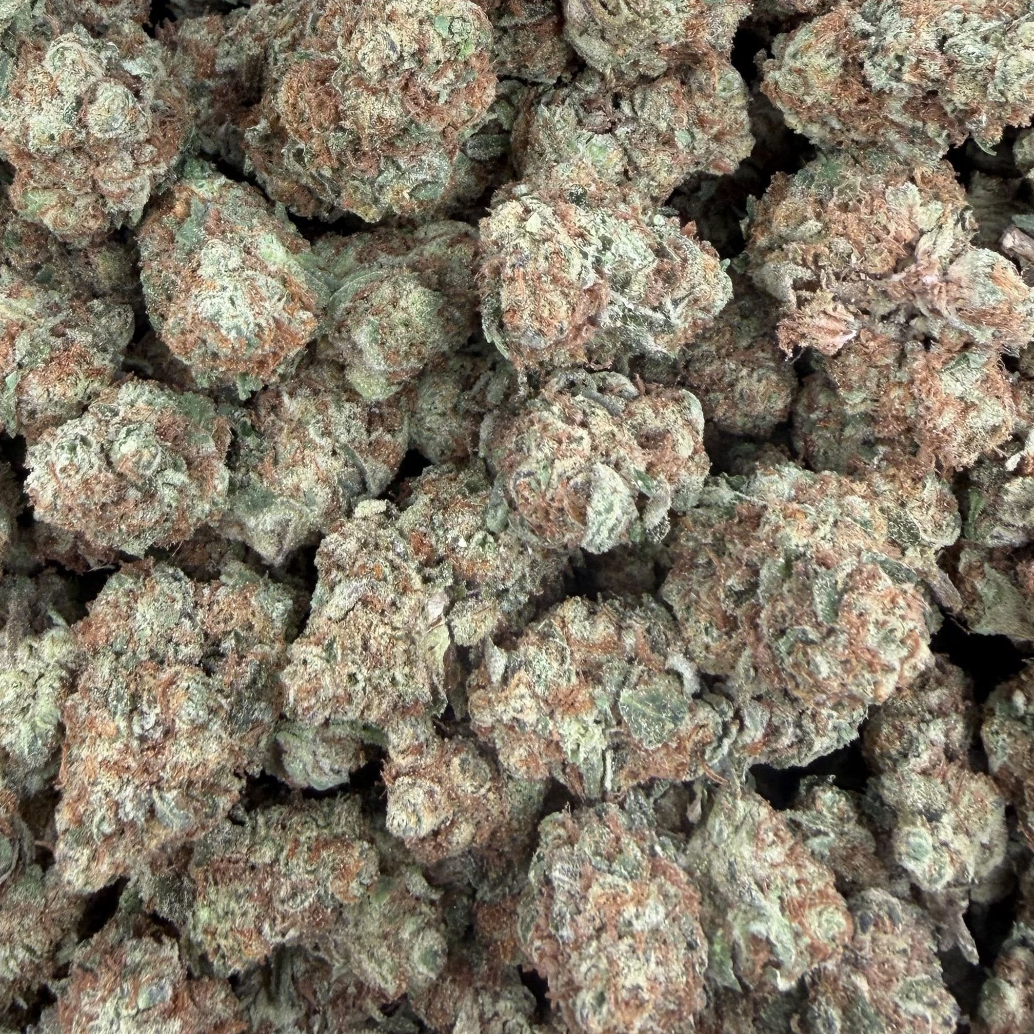 White Cherries bulk THCA flower — Plain Jane 1 lb