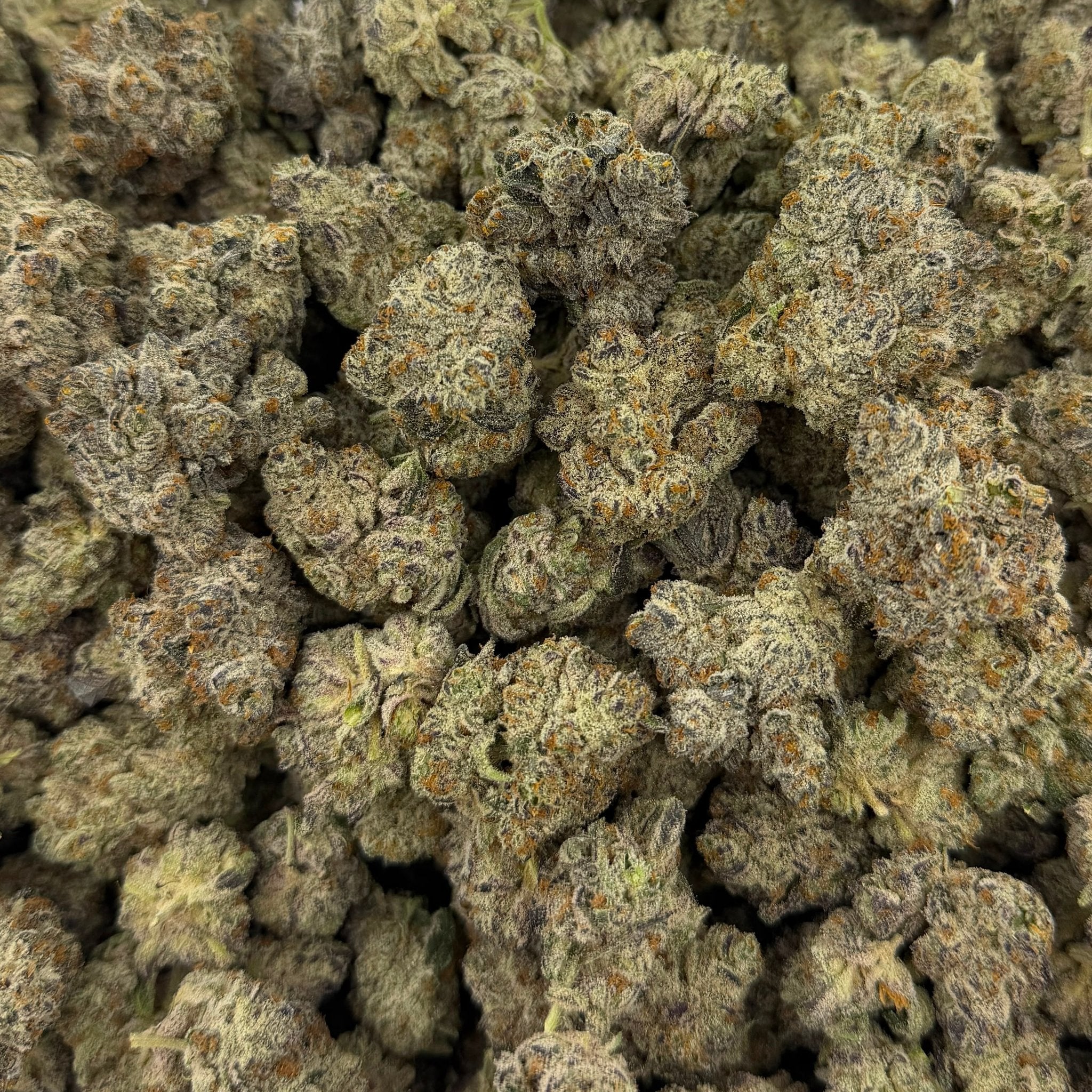 White Chocolate Chip bulk THCA flower — Plain Jane 1 lb