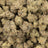 White Chocolate Chip bulk THCA flower — Plain Jane 1 lb