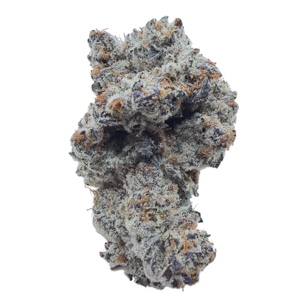 White Chocolate Chips Full-Size Buds THCA flower buds