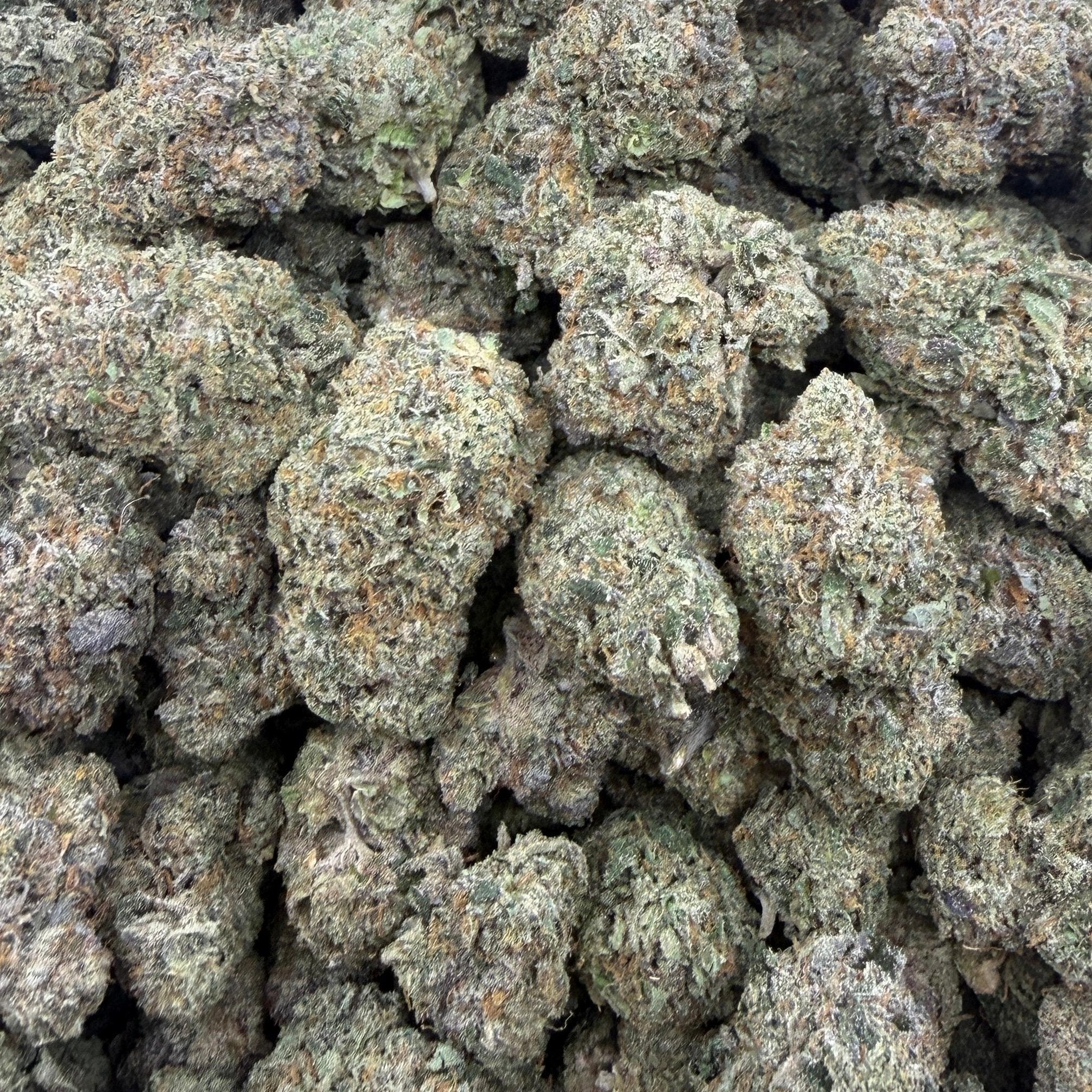 White Durban bulk THCA flower — Plain Jane 1 lb