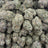 White Durban bulk THCA flower — Plain Jane 1 lb