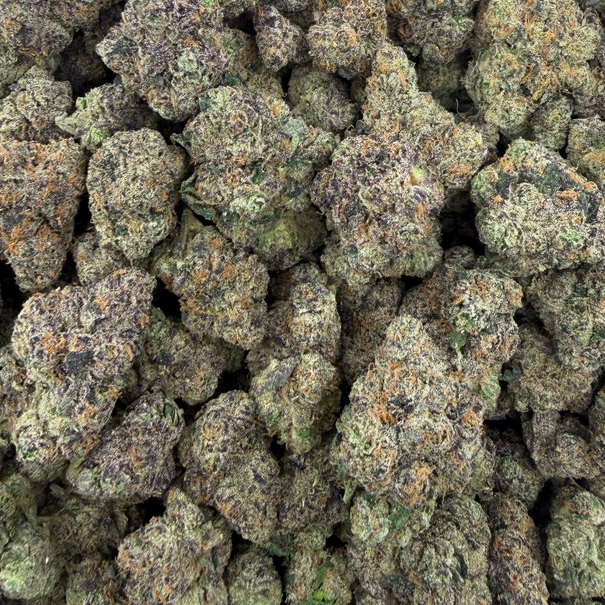 White Durban bulk THCA flower — Plain Jane 1 lb