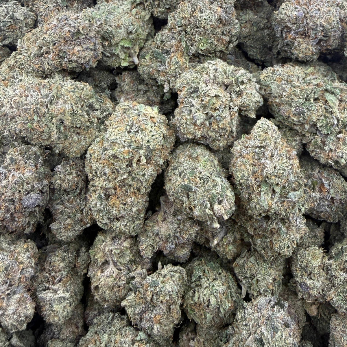 White Durban bulk THCA flower — Plain Jane 1 lb