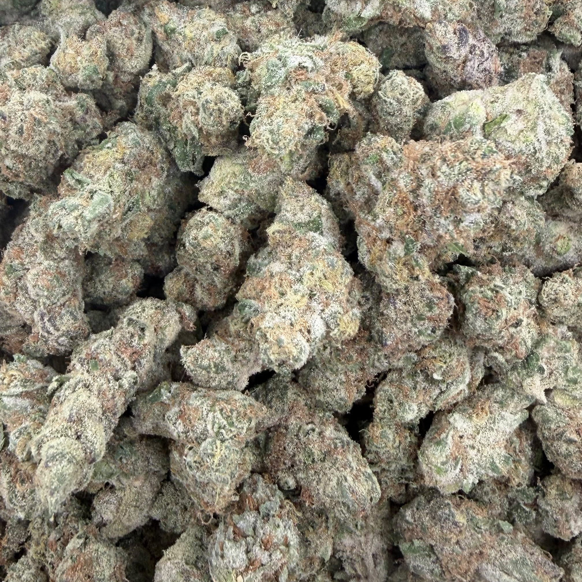 White Durban bulk THCA flower — Plain Jane 1 lb