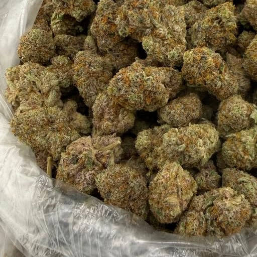 White Fire OG bulk THCA flower — Plain Jane 1 lb