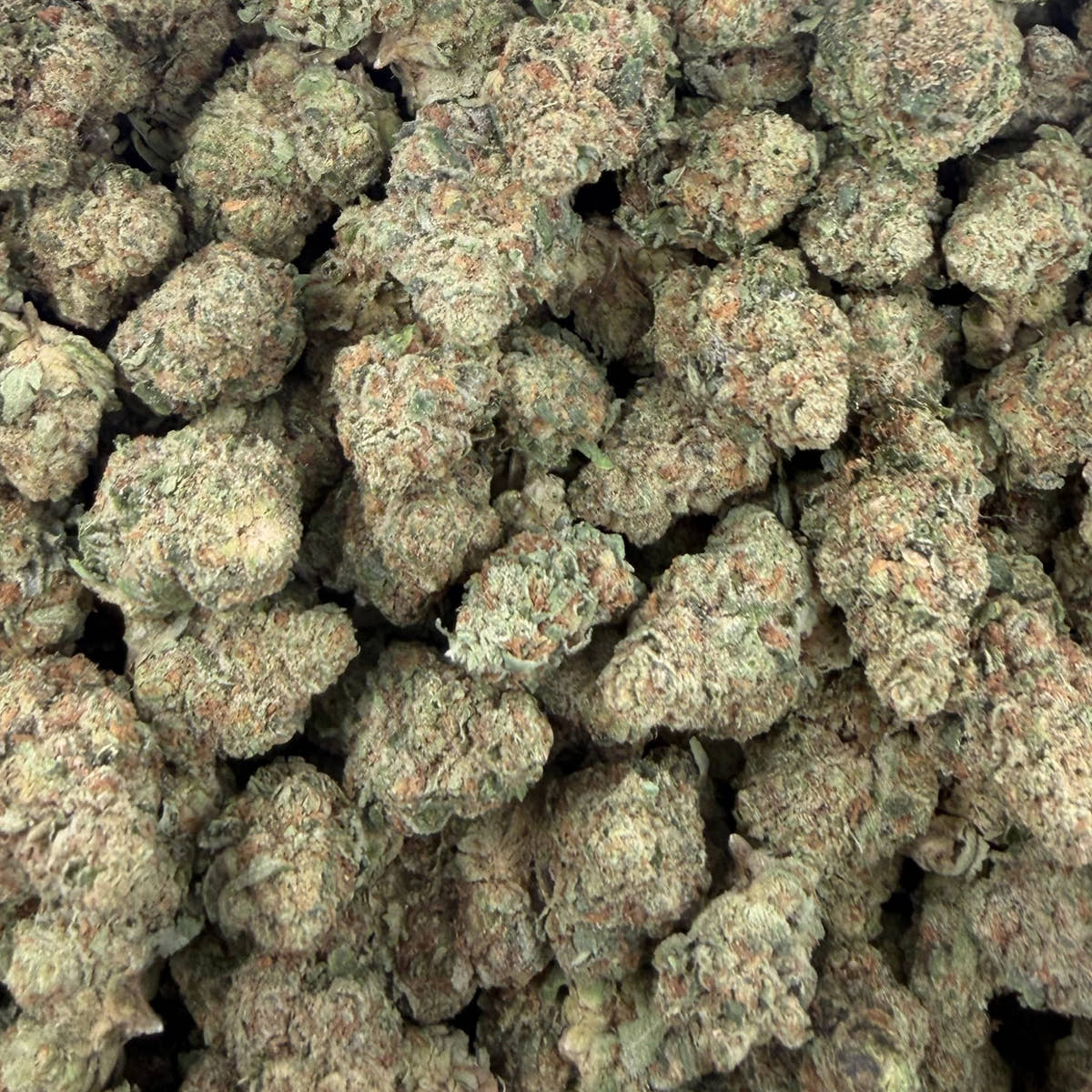 White Fire OG bulk THCA flower — Plain Jane 1 lb
