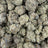 White Rhino bulk THCA flower — Plain Jane 1 lb