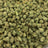 White Tahoe Cookies bulk THCA flower — Plain Jane 1 lb