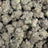 White Truffle bulk THCA flower — Plain Jane 1 lb