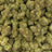 White Truffle bulk THCA flower — Plain Jane 1 lb