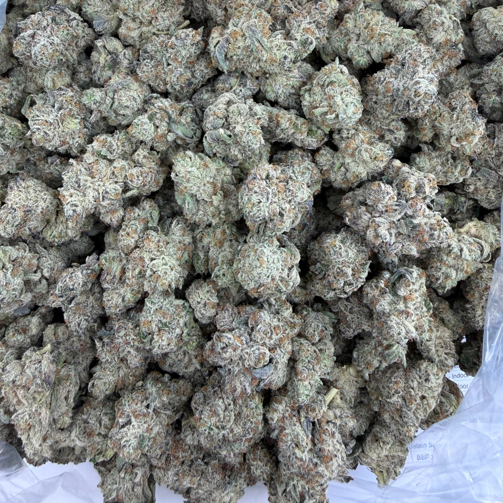 White Walker bulk THCA flower — Plain Jane 1 lb