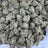 White Walker bulk THCA flower — Plain Jane 1 lb