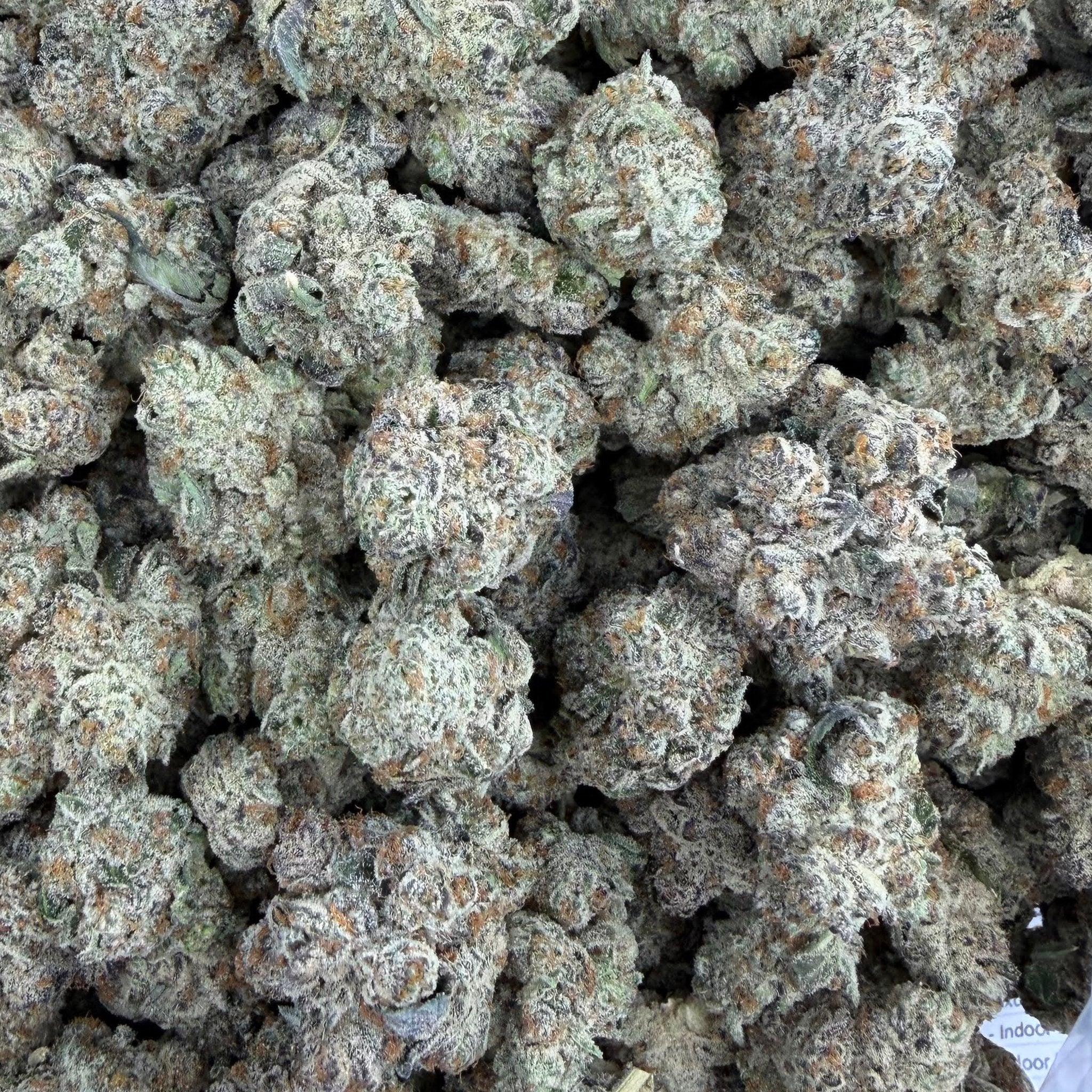 White Walker bulk THCA flower — Plain Jane 1 lb