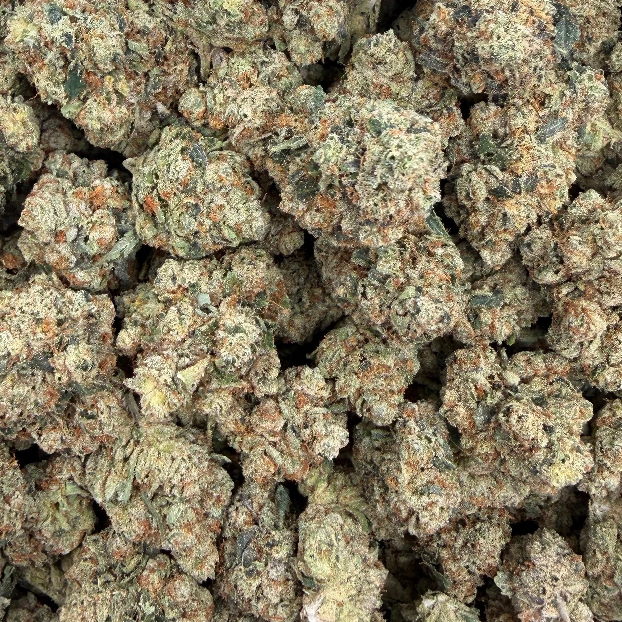 Yahu OG bulk THCA flower — Plain Jane 1 lb