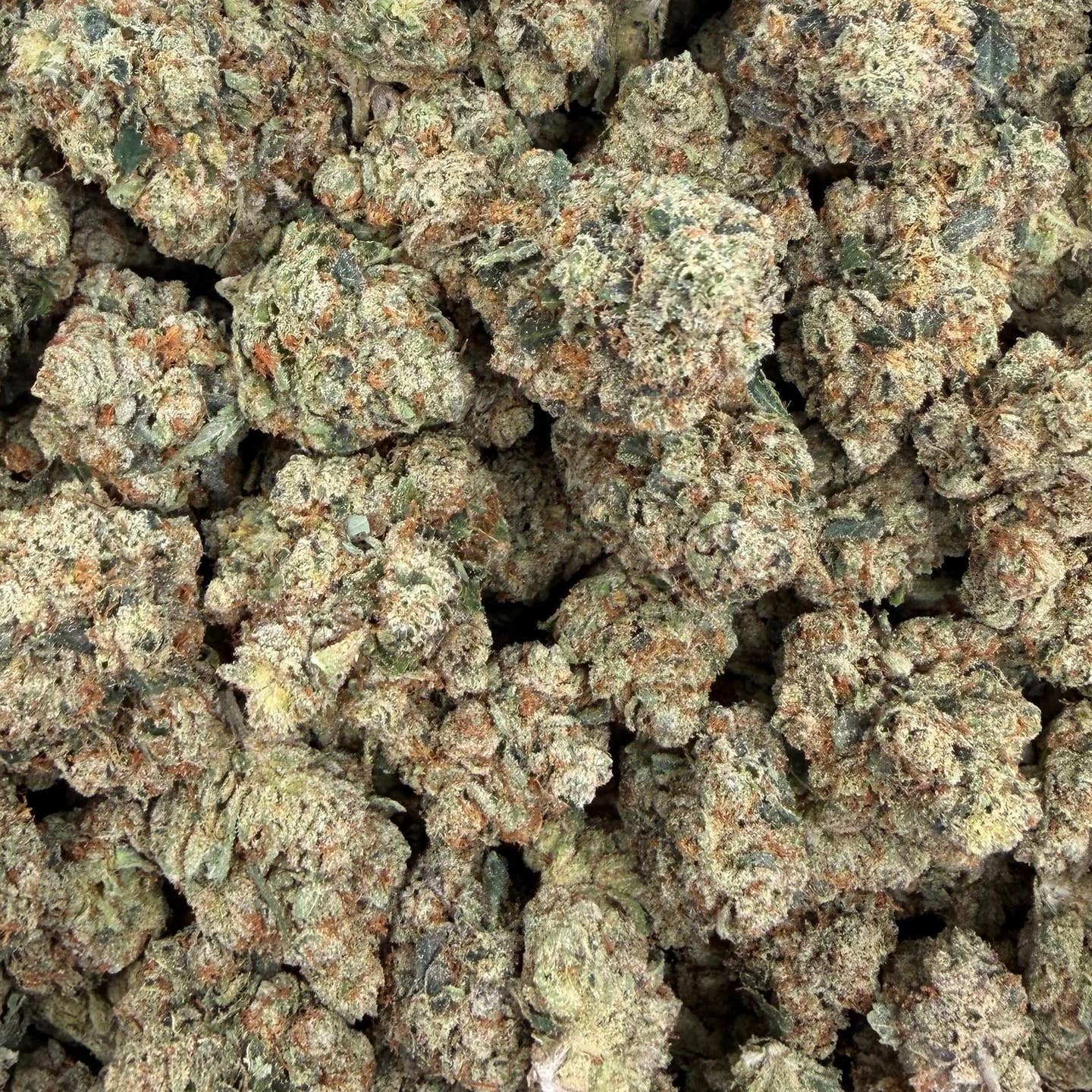 Yahu OG bulk THCA flower — Plain Jane 1 lb
