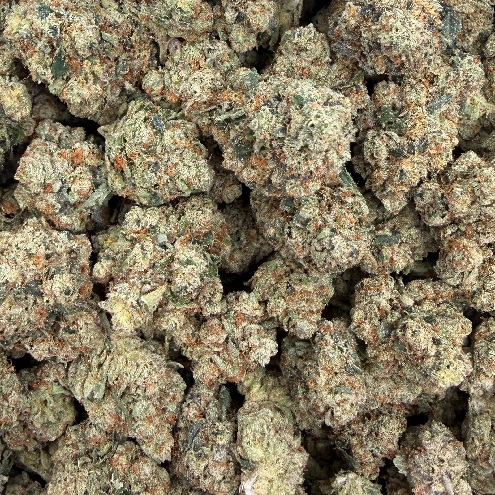 Yahu OG bulk THCA flower — Plain Jane 1 lb