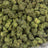 Yazz Candy bulk THCA flower — Plain Jane 1 lb