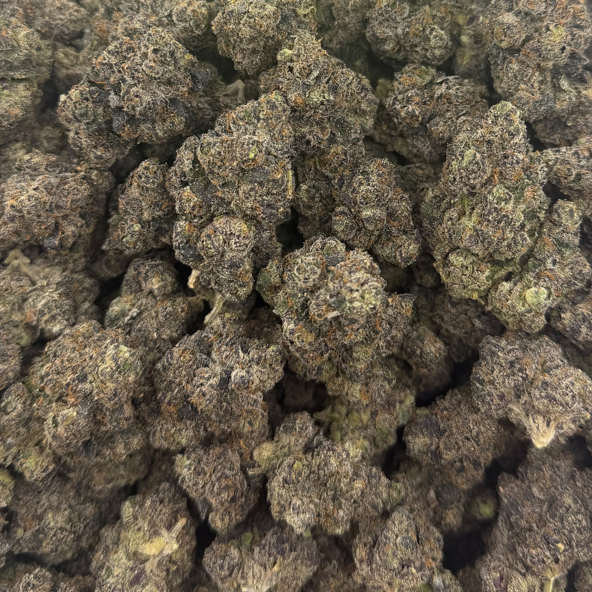 Yuzu Popper bulk THCA flower — Plain Jane 1 lb