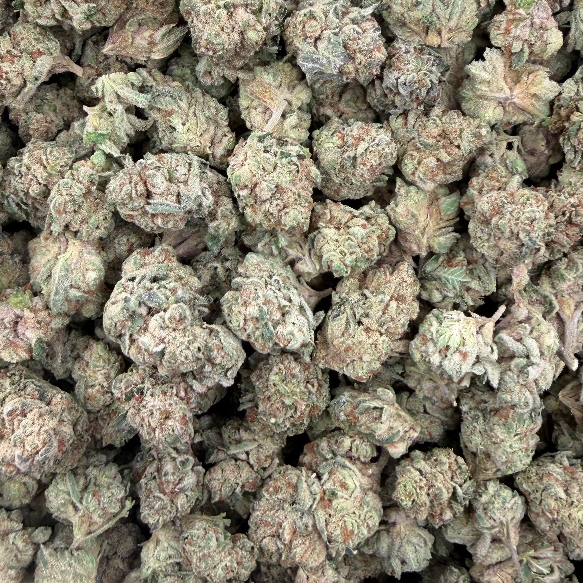 Z Cube bulk THCA flower — Plain Jane 1 lb