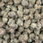 Z Cube bulk THCA flower — Plain Jane 1 lb
