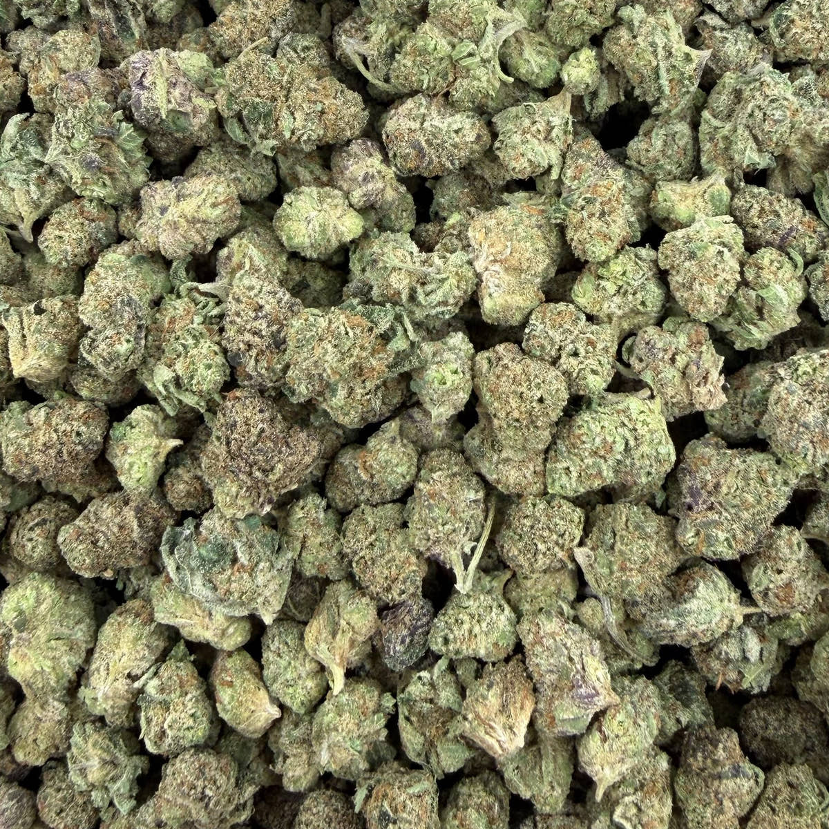 Z Cube bulk THCA flower — Plain Jane 1 lb