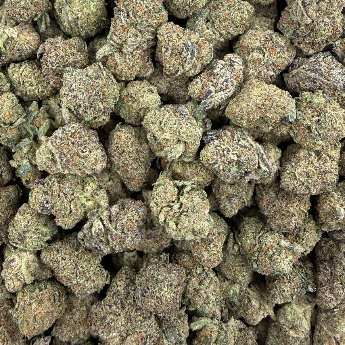 Z Cube bulk THCA flower — Plain Jane 1 lb
