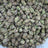 Zangria bulk THCA flower — Plain Jane 1 lb