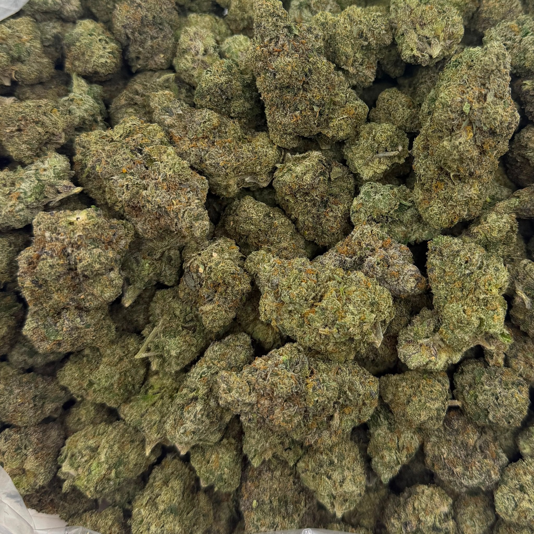 Zangria bulk THCA flower — Plain Jane 1 lb