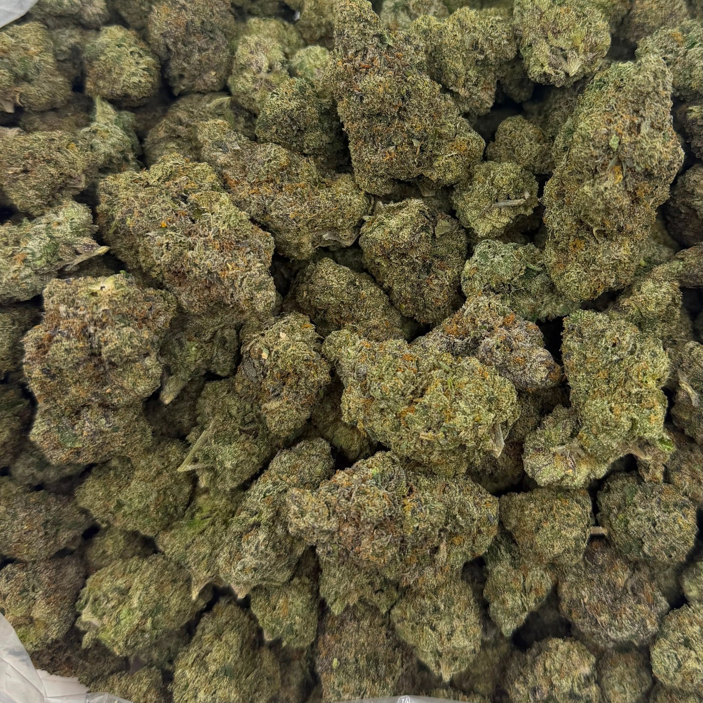 Zangria bulk THCA flower — Plain Jane 1 lb