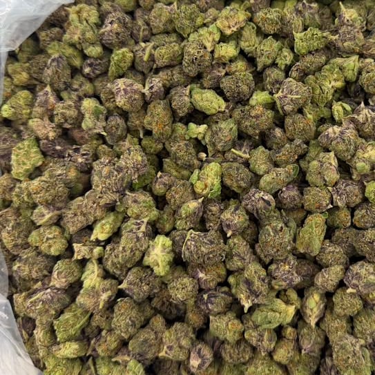 Zangria bulk THCA flower — Plain Jane 1 lb