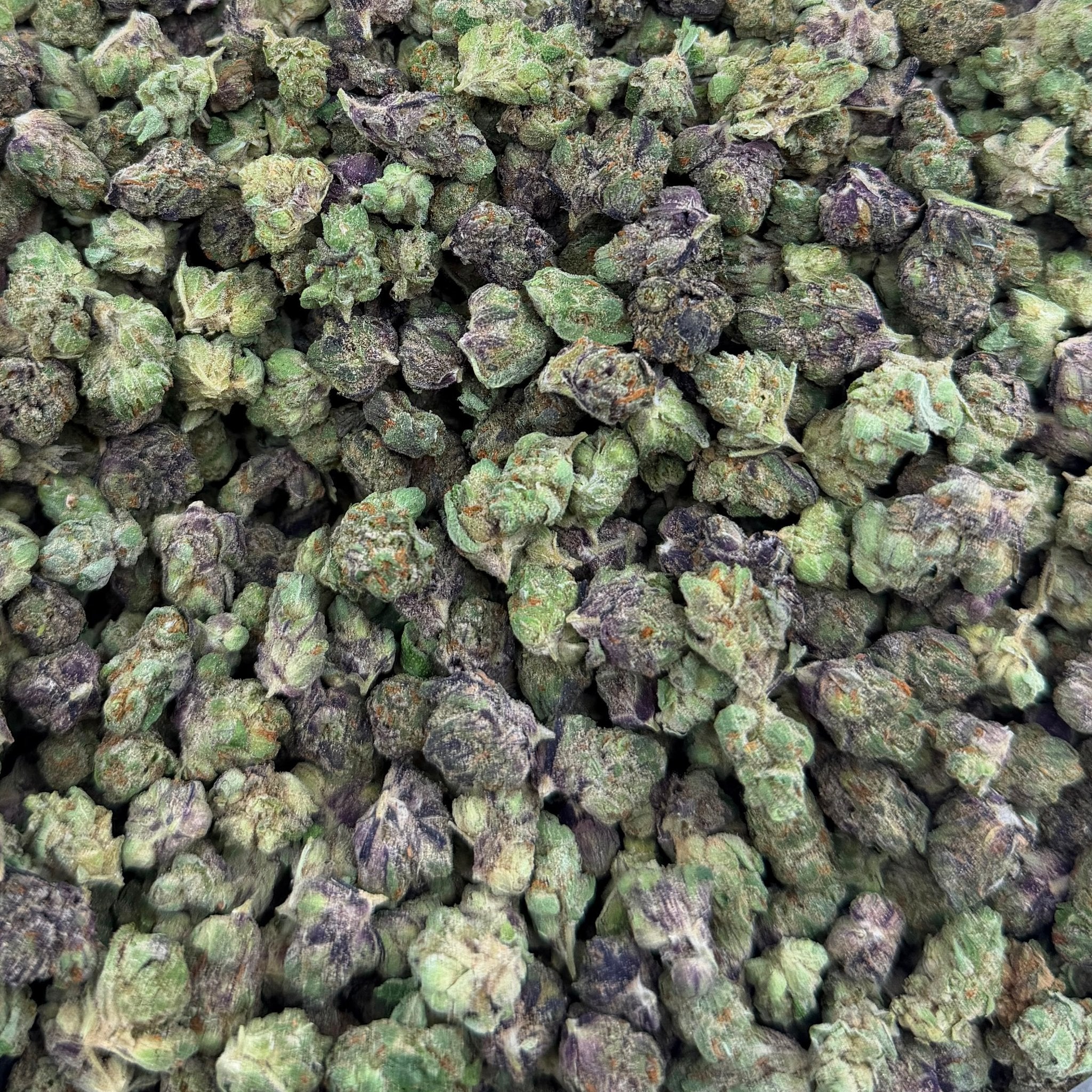 Zangria bulk THCA flower — Plain Jane 1 lb