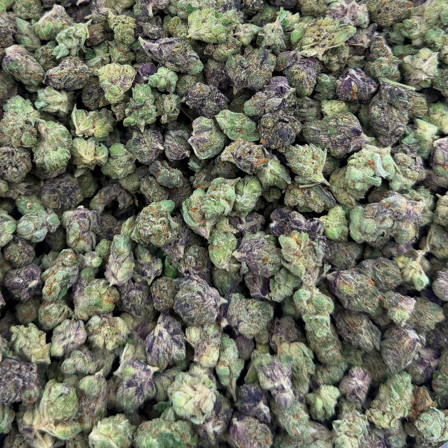 Zangria bulk THCA flower — Plain Jane 1 lb
