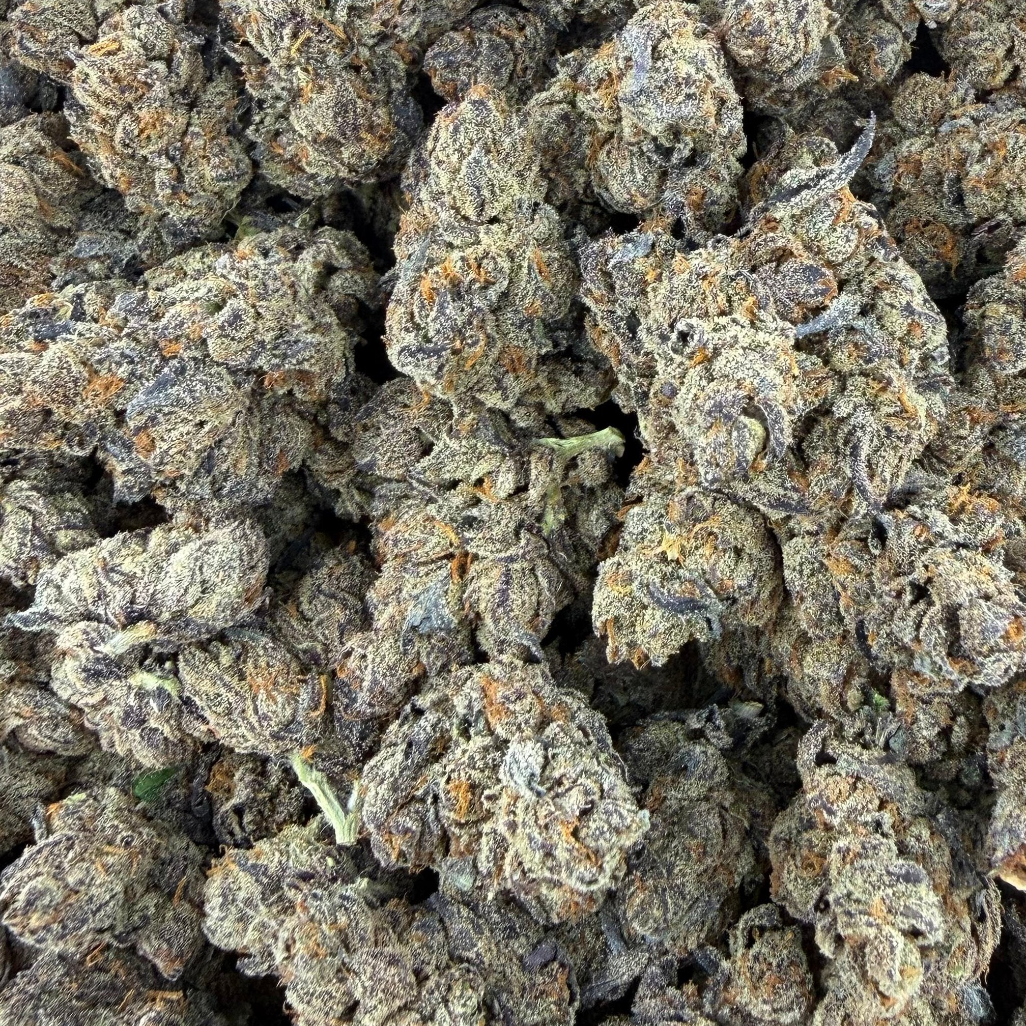 Zangria bulk THCA flower — Plain Jane 1 lb