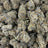 Zangria bulk THCA flower — Plain Jane 1 lb
