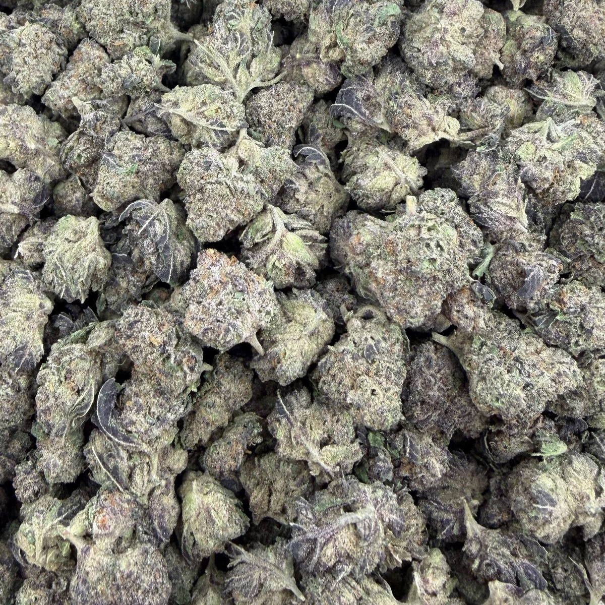 Zangria bulk THCA flower — Plain Jane 1 lb
