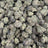 Zangria bulk THCA flower — Plain Jane 1 lb