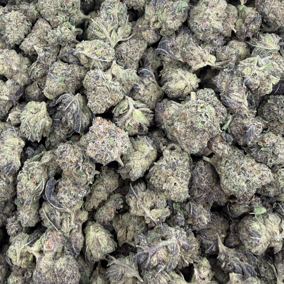Zangria (Indoor Smalls) – Bulk THCA Flower 1 lb