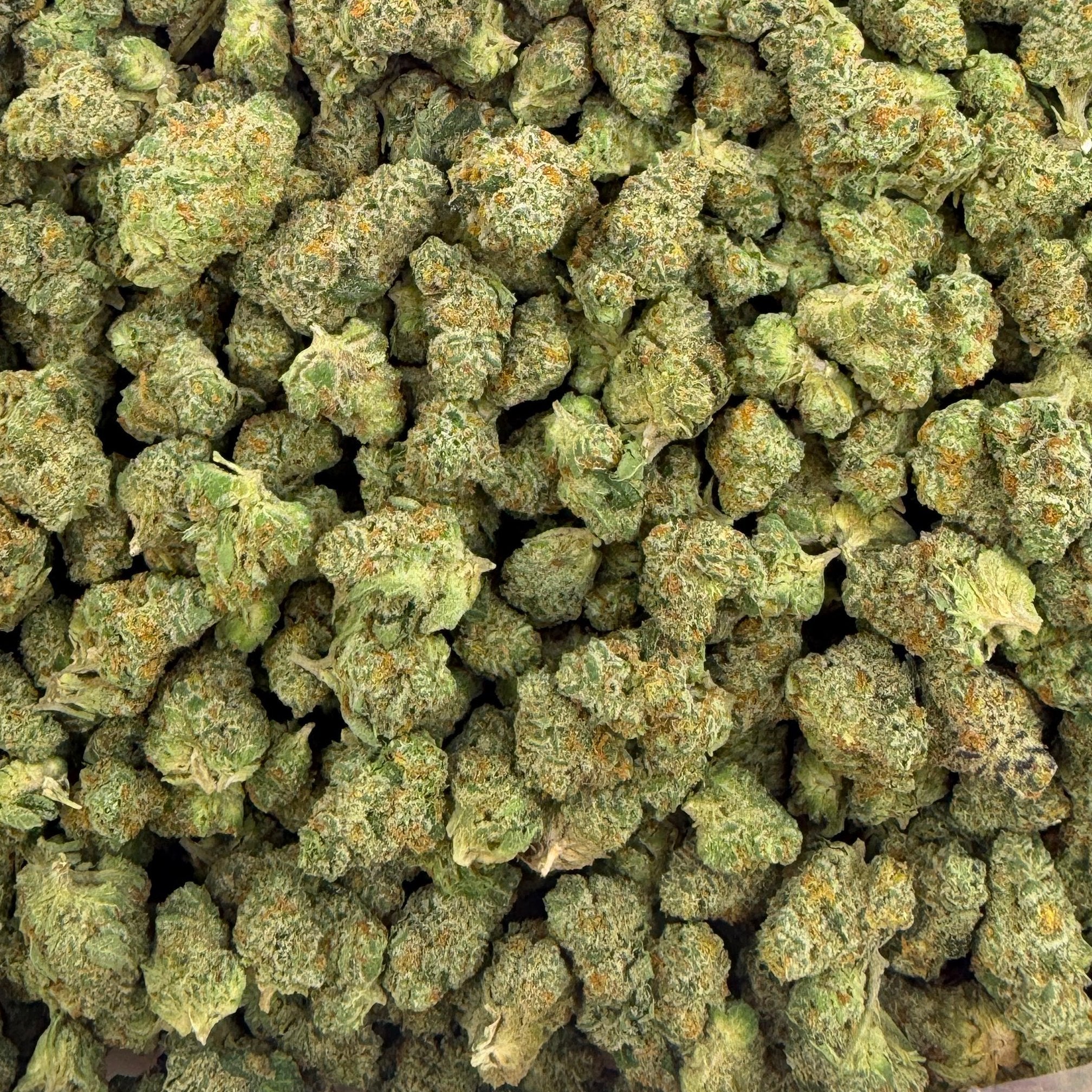 Zero Gravity bulk THCA flower — Plain Jane 1 lb