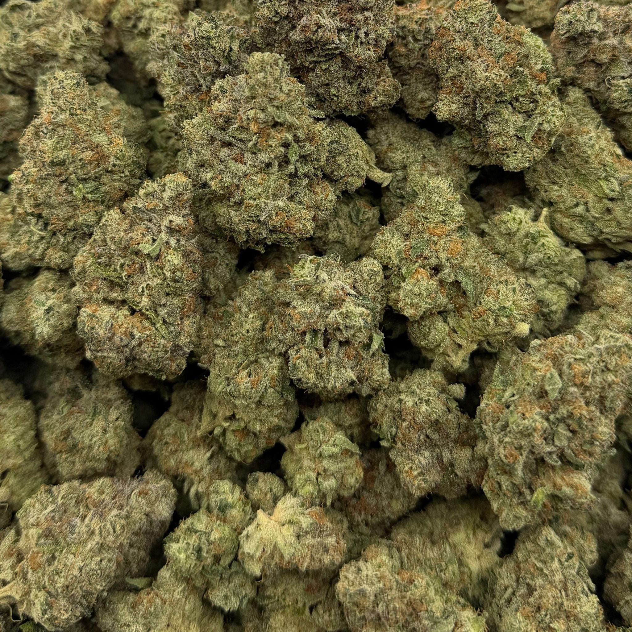 Zero Gravity bulk THCA flower — Plain Jane 1 lb