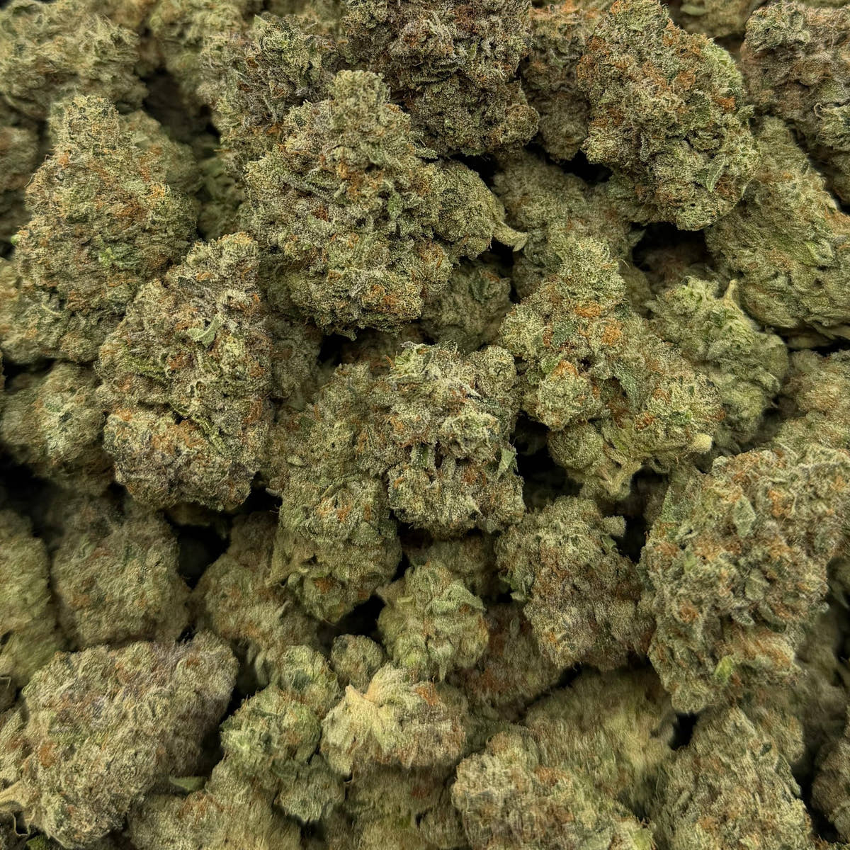 Zero Gravity bulk THCA flower — Plain Jane 1 lb