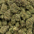 Zero Gravity bulk THCA flower — Plain Jane 1 lb